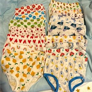 Hanna Andersson Briefs